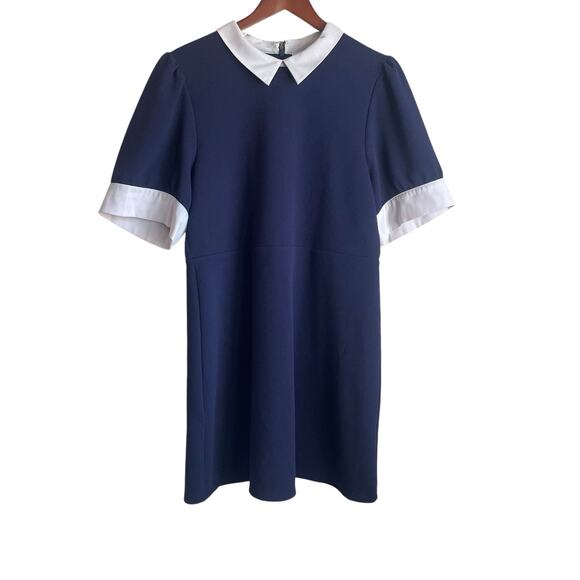 Riley & Rae Sheath Women Dress XL Textured Peterpan Collar Preppy Academia Twee - Picture 1 of 12